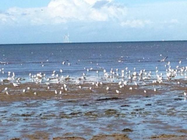 Seaways Cottage Hoylake Dış mekan fotoğraf